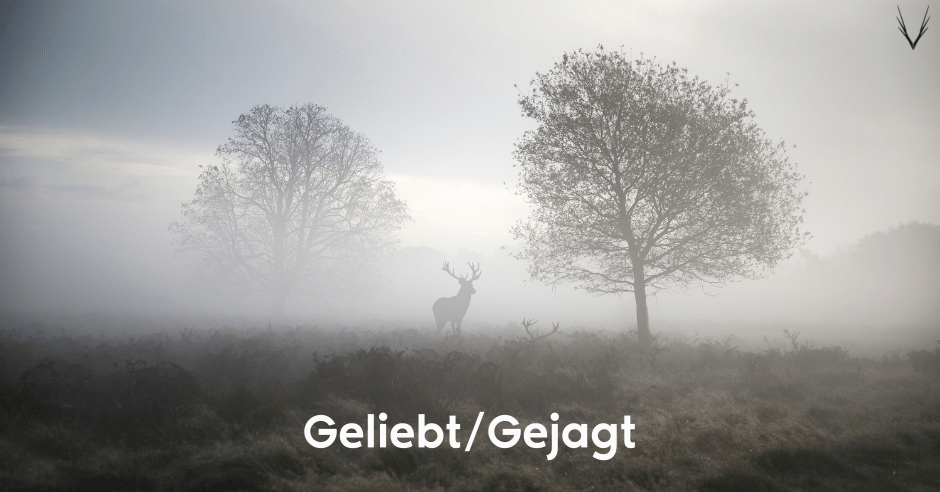 Ein stehender und eine liegender Rothirsch im Nebel. Darunter der Schriftzug Geliebt/Gejagt